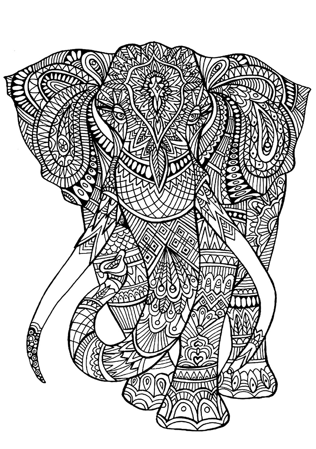 Elephant Coloring Book For Adults
 like this one intended for adults to color can