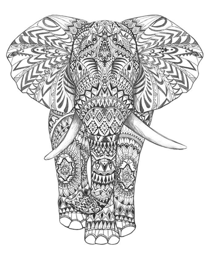 Elephant Coloring Book For Adults
 coloring pages for adults difficult elephants Google