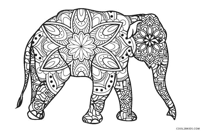 Elephant Coloring Book For Adults
 Free Printable Elephant Coloring Pages For Kids