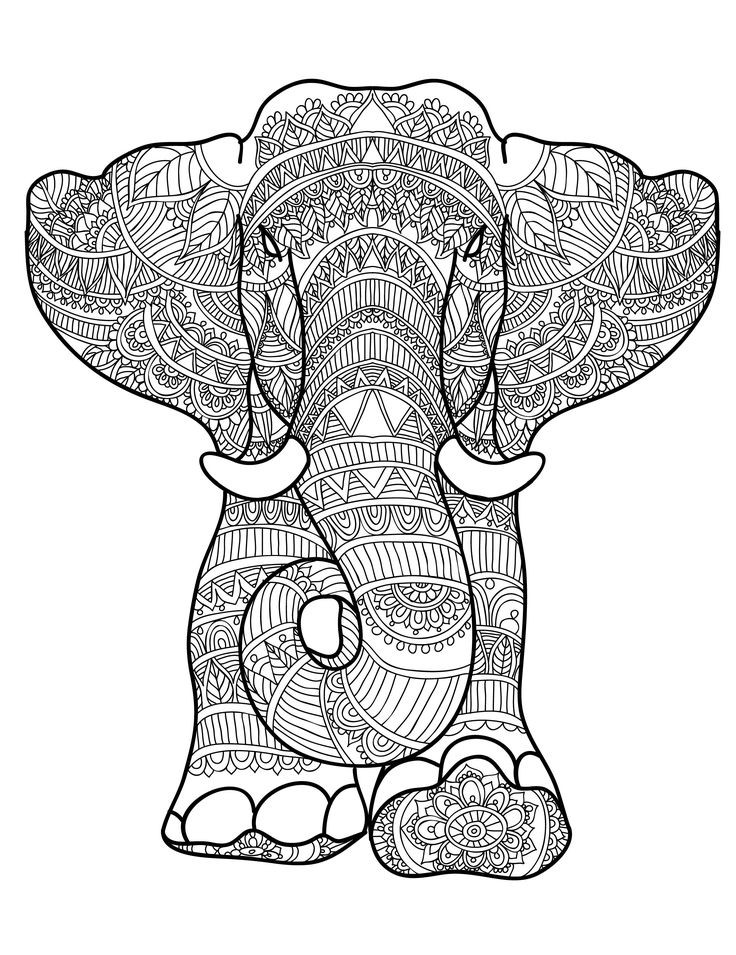 Elephant Coloring Book For Adults
 159 best Elephant Coloring Pages for Adults images on