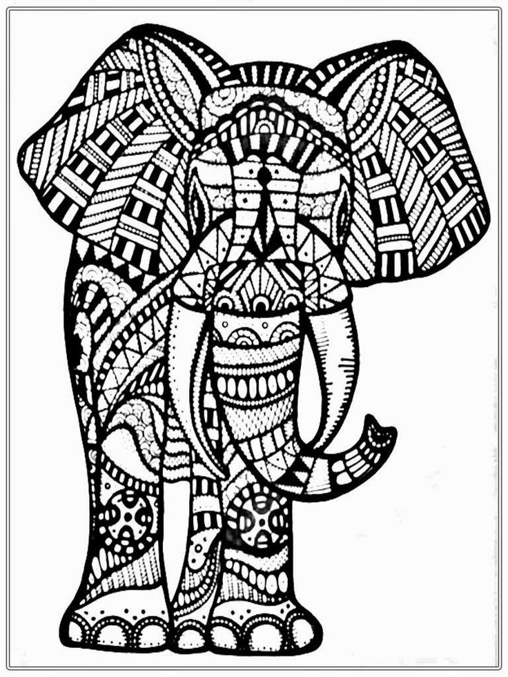 Elephant Coloring Book For Adults
 19 best images about Adult coloring Elephants on
