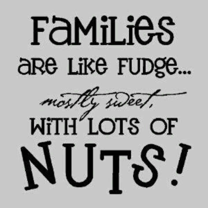 Family Quotes And Sayings
 Joy Family Quotes QuotesGram