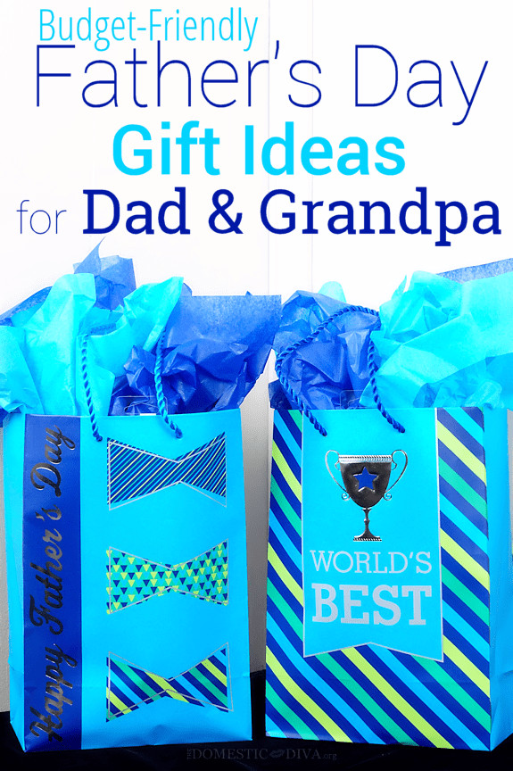 Fathers Day Gift Ideas Grandpa
 Affordable Father’s Day Gift Ideas for Dad and Grandpa