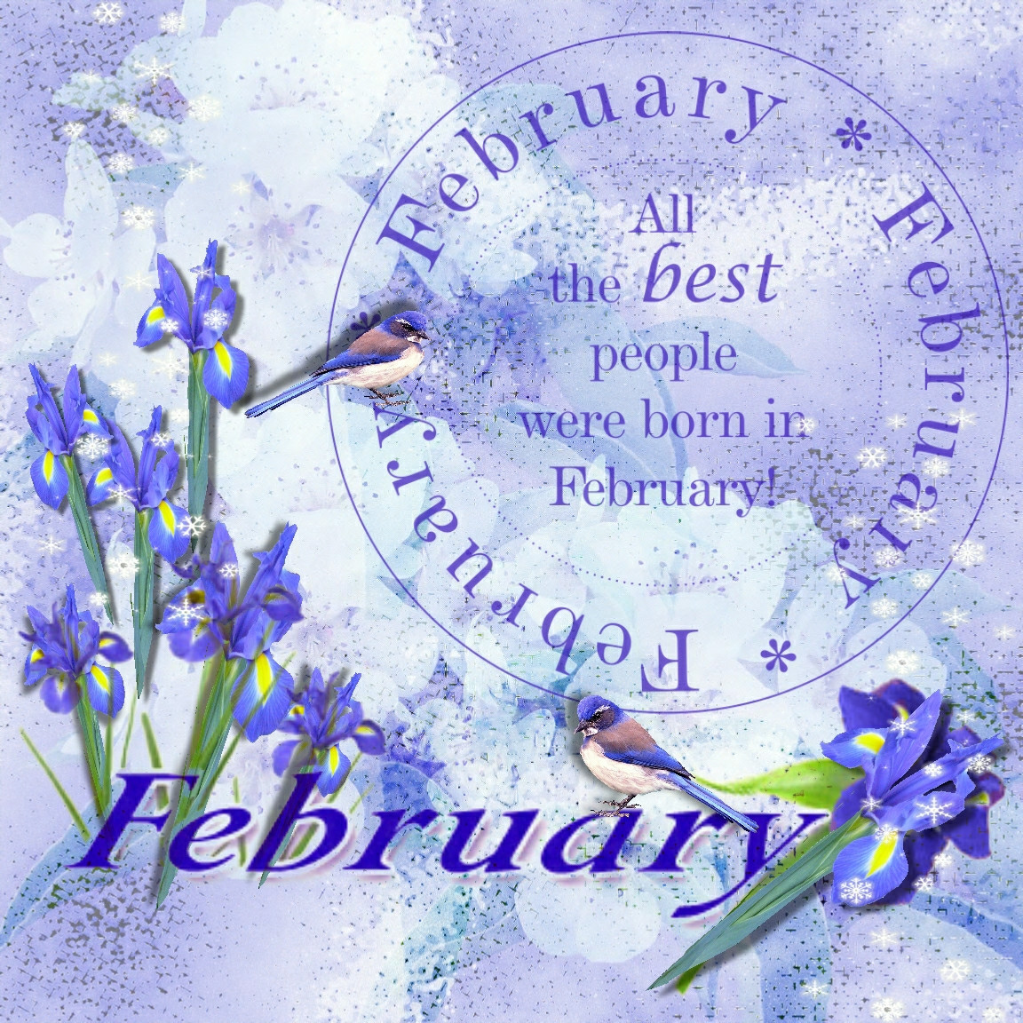 February Birthday Quotes
 February Birthday wishes