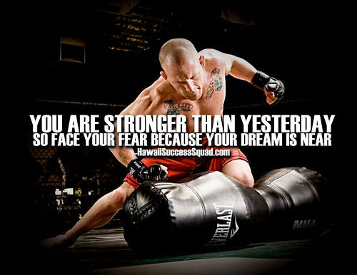 Fighter Motivational Quotes
 Mma Motivational Quotes QuotesGram