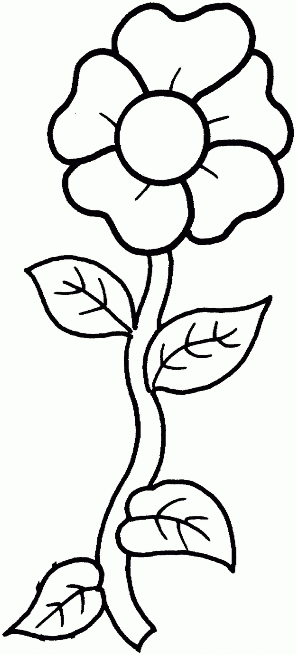Flower Coloring Pages For Girls
 Flower Coloring Pages For Girls 10 And Up Coloring Home