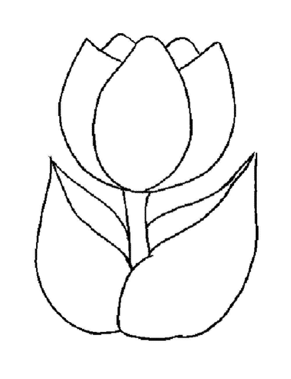 Flower Coloring Pages For Girls
 Print & Download Some mon Variations of the Flower