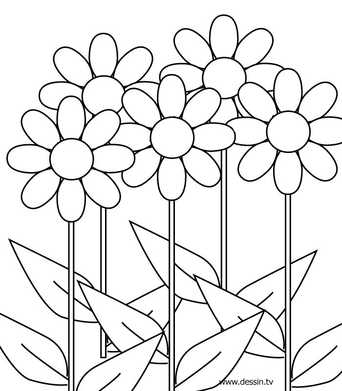 Flower Coloring Pages For Girls
 Flower Coloring Pics Flower Coloring Page