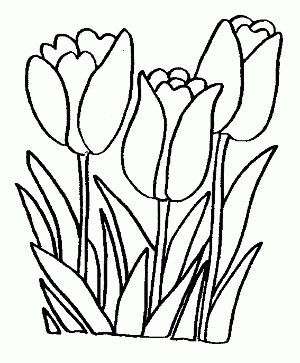 Flower Coloring Pages For Girls
 Coloring Pages Flower Coloring Pages For Girls And