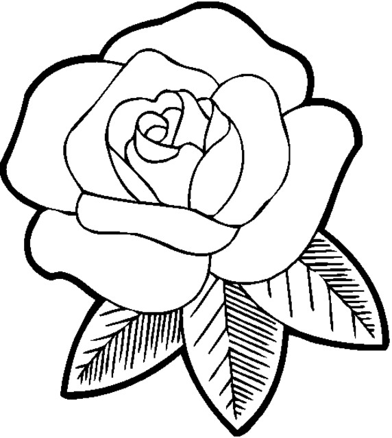 Flower Coloring Pages For Girls
 Flower Coloring pages for Girls Free Printable Coloring