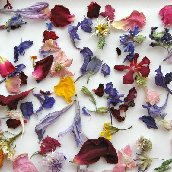 Flower Petals For Wedding
 REAL Flower Petals Wedding Confetti Confetti Dry by