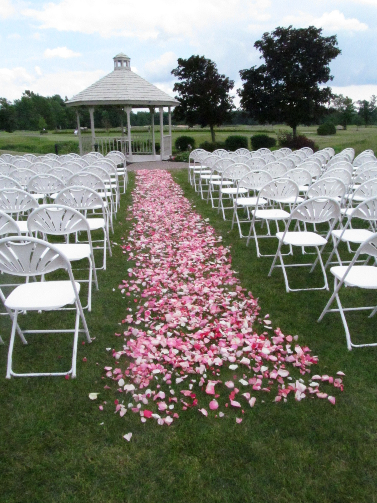 Flower Petals For Wedding
 rose petals