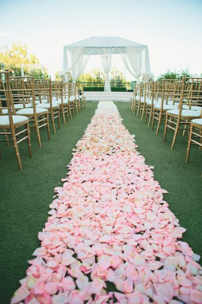 Flower Petals For Wedding
 Pink Blush Peach Wedding Color Ideas DeerPearlFlowers