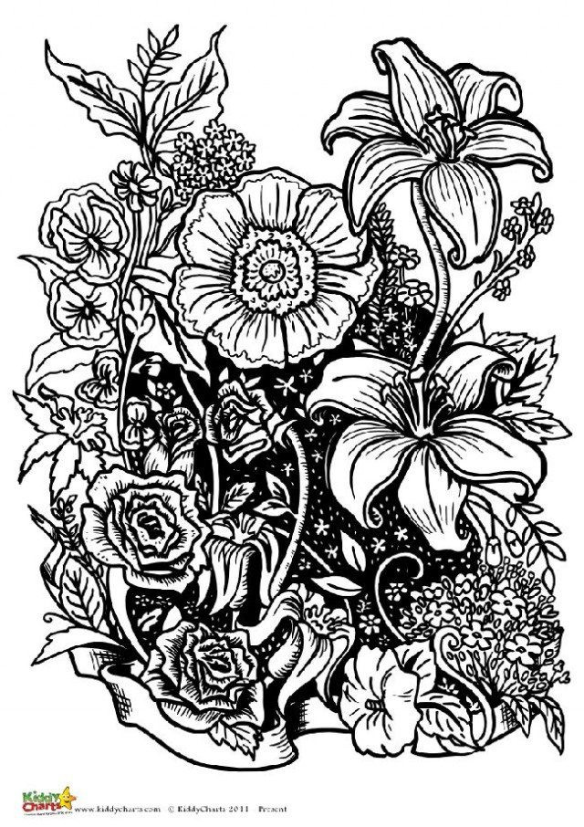 Flowers Coloring Pages For Adults
 Four free flower coloring pages for adults