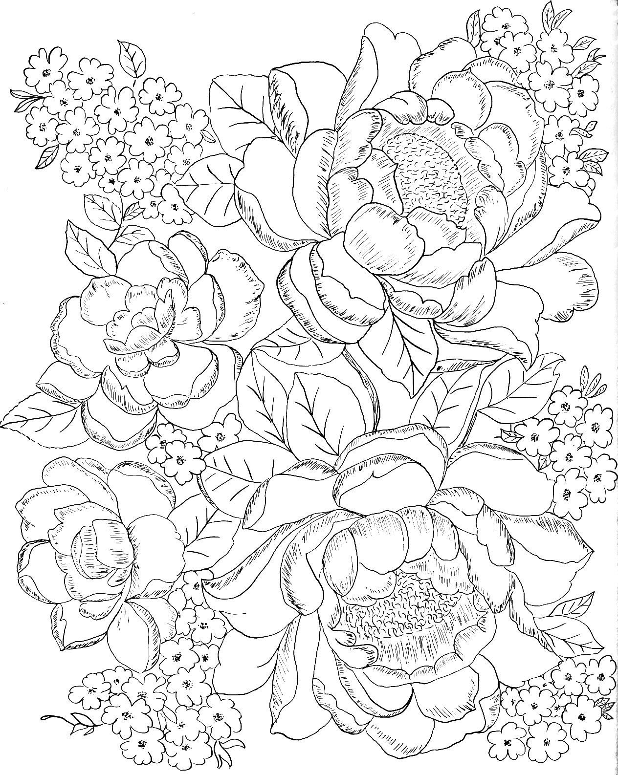 Flowers Coloring Pages For Adults
 Digital Two for Tuesday Digital Two for Tuesday 172