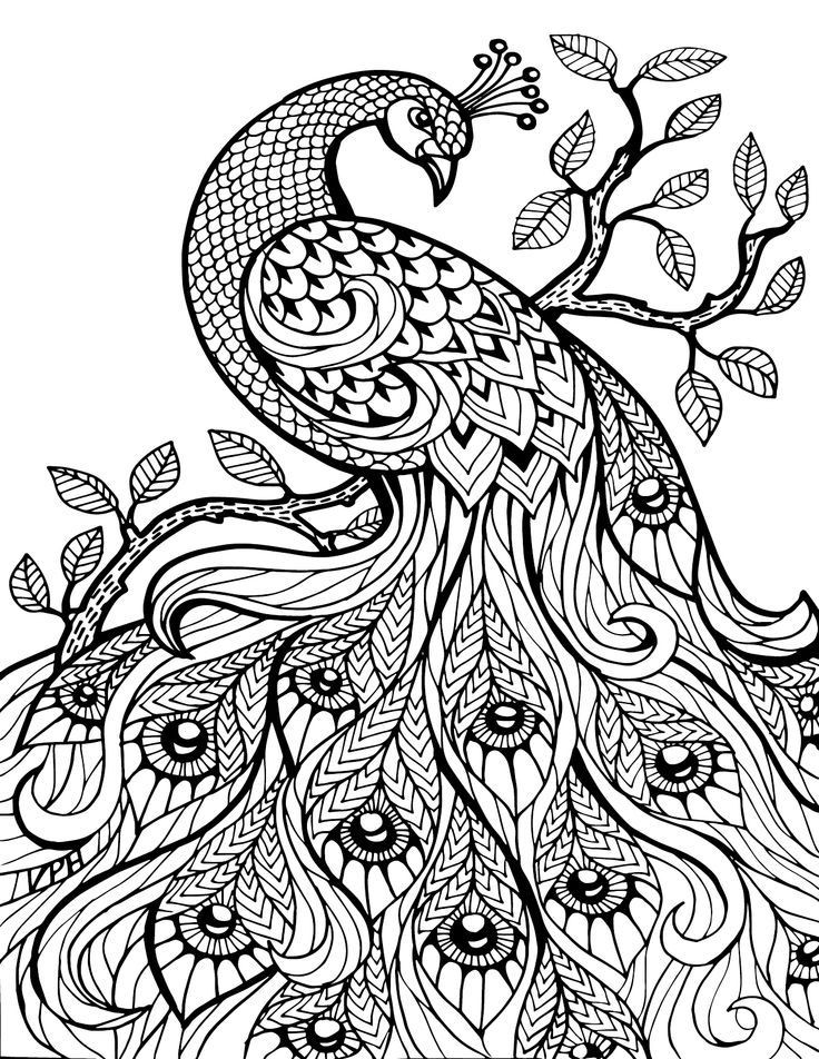 Free Coloring Pages For Adults Printable
 Pin em Adult Coloring Book Animals