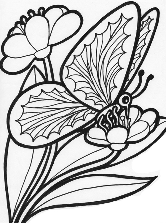 Free Coloring Pages For Kids To Print
 Kids Page Butterfly Coloring Pages
