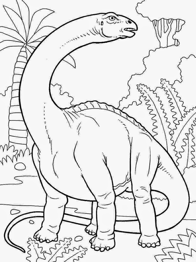 Free Printable Dinosaur Coloring Pages
 Coloring Pages Dinosaur Free Printable Coloring Pages