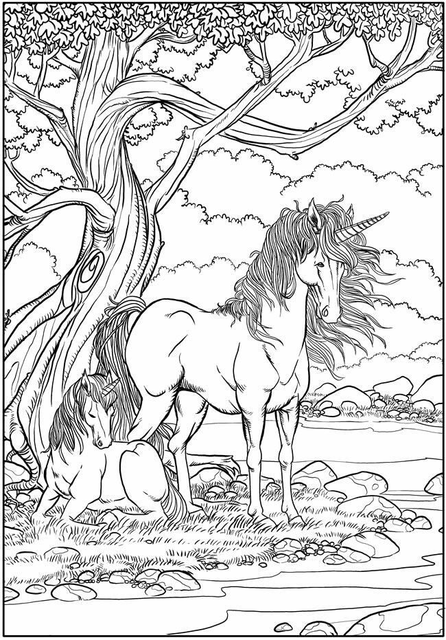 Free Unicorn Coloring Pages For Adults
 Unicorns Coloring Page Mythical Creatures