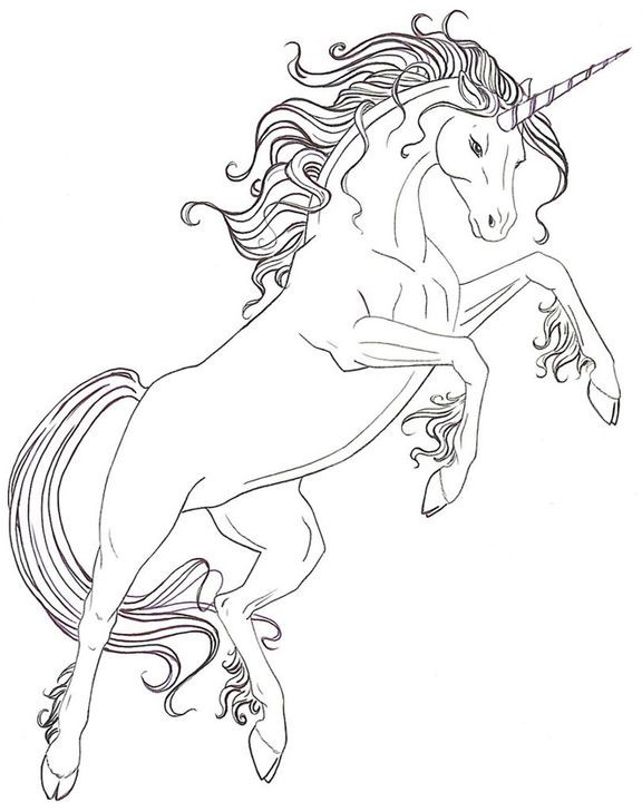 Free Unicorn Coloring Pages For Adults
 Adult Coloring Pages Free Coloring Page