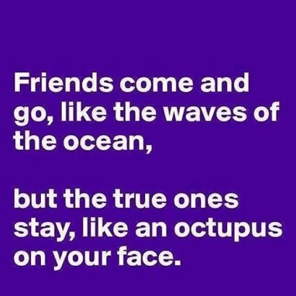 Friends Funny Quote
 30 Best Friendship Quotes – The WoW Style