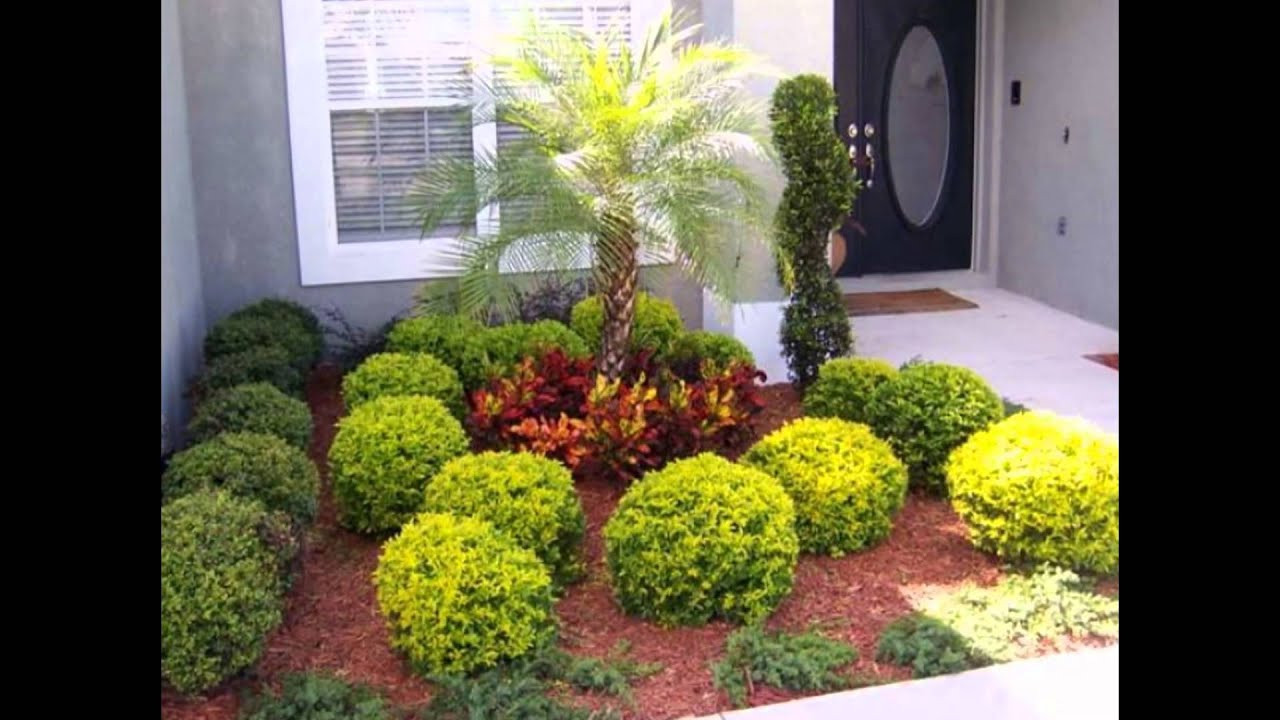 Front Yard Landscape Design Ideas
 Wonderful Landscape Design Ideas Florida with Tropical