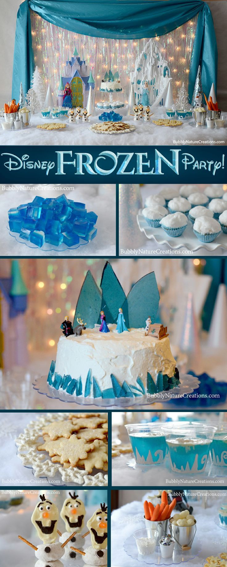 Frozen Birthday Decorations
 Disney Frozen Birthday Party Theme