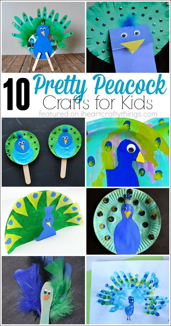 Fun Crafts For Preschoolers
 10 Pretty Peacock Crafts for Kids