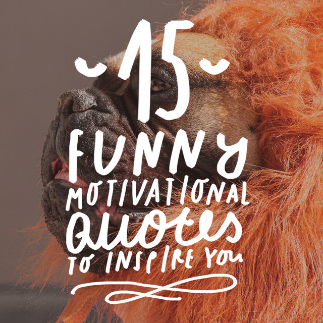 Fun Motivational Quotes
 15 Funny Motivational Quotes to Inspire You Bright Drops