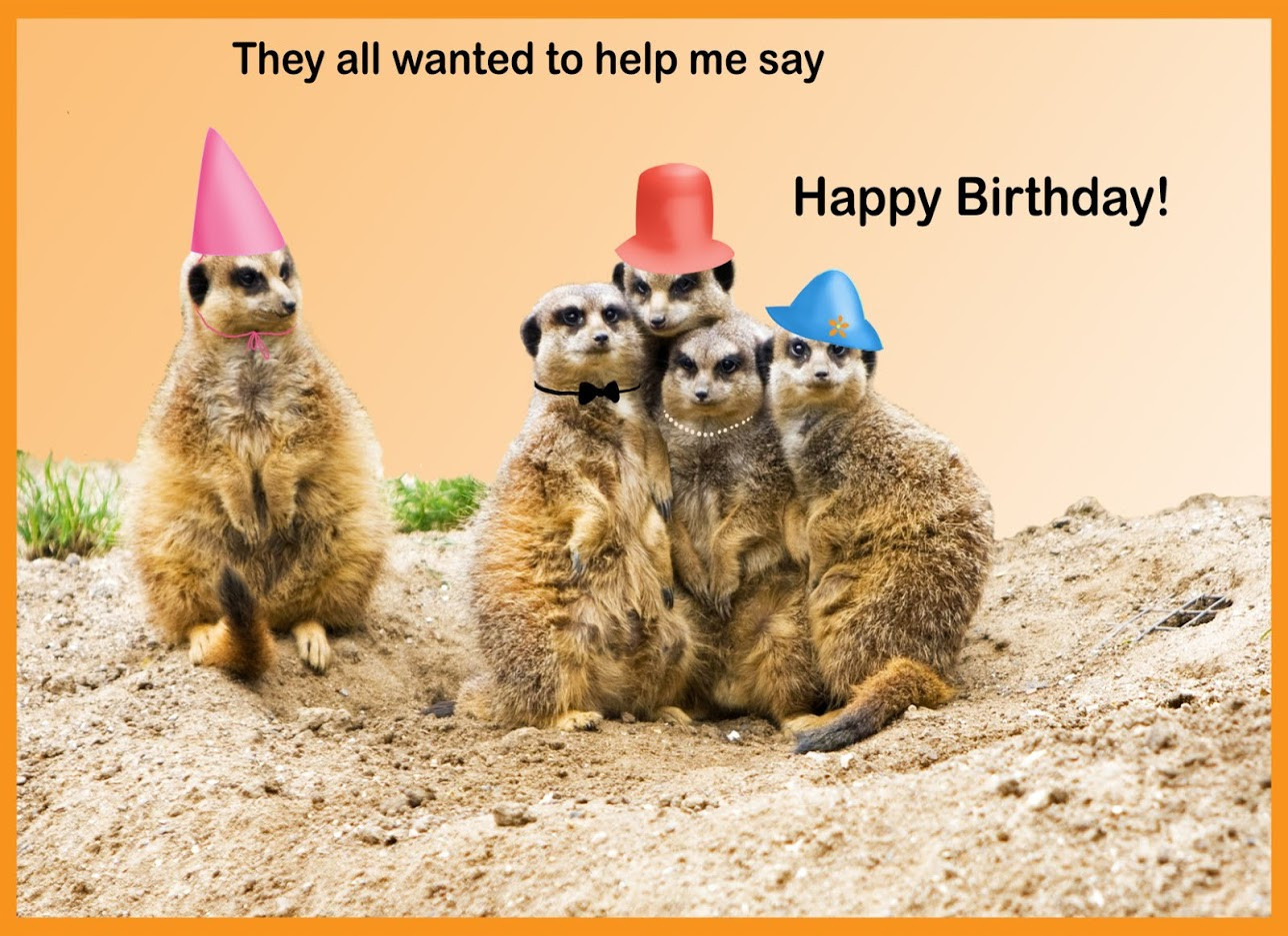 Funny Animal Birthday Cards
 Happy