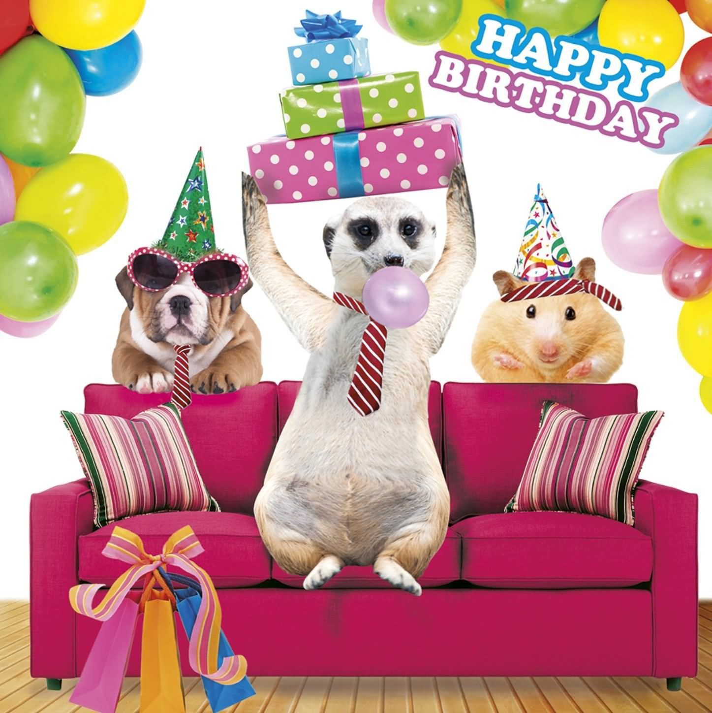 Funny Animal Birthday Cards
 20 Most Funny Birthday