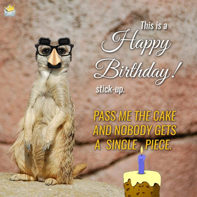 Funny Animal Birthday Cards
 Happy Birthday Animal