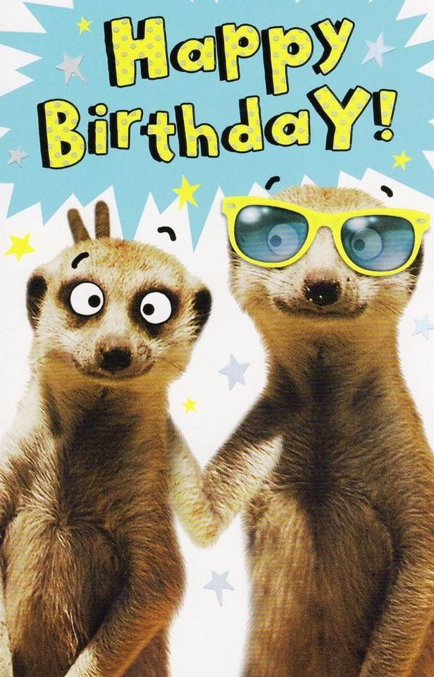Funny Animal Birthday Cards
 Pin by Bernadett G on bday