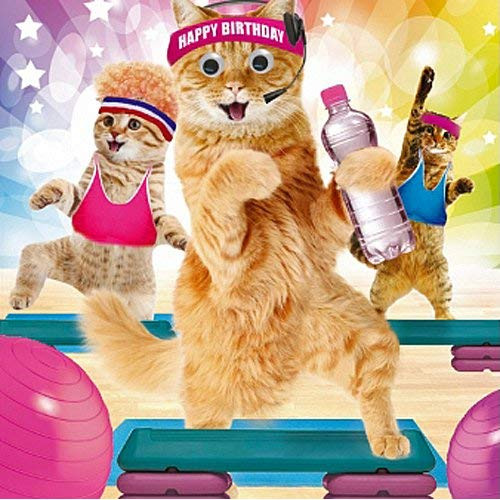 Funny Animal Birthday Cards
 Cat Birthday Card Amazon