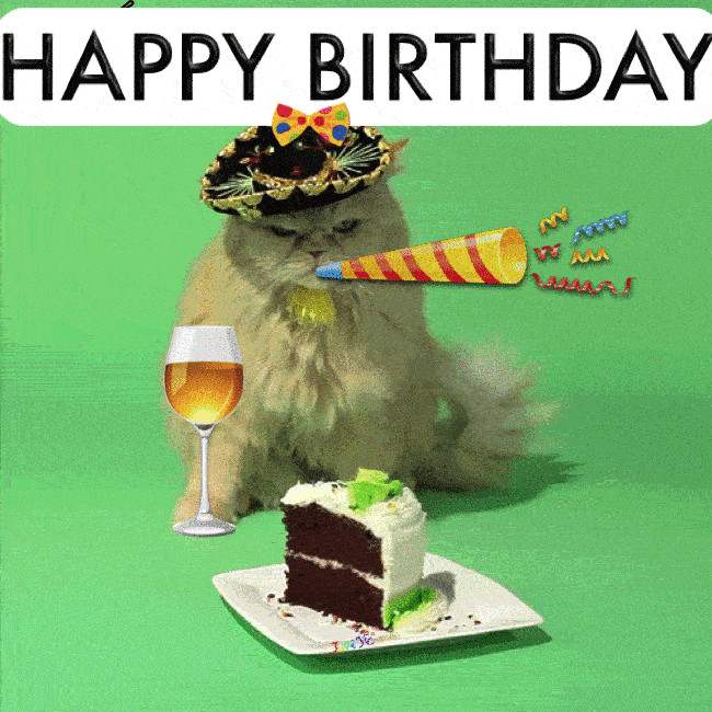 Funny Animated Birthday Wishes
 Birthday wishes Happy Birthday GIF celebrating cat