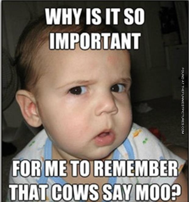 Funny Baby Quote Pictures
 Funny Baby Quotes And Cute Picture QuotesGram