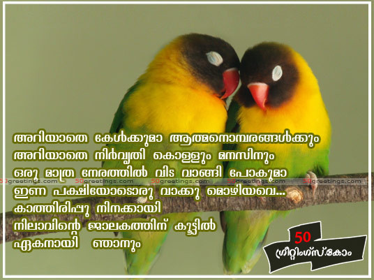 Funny Bird Quote
 Funny Gallery Birds quotes larry bird quotes