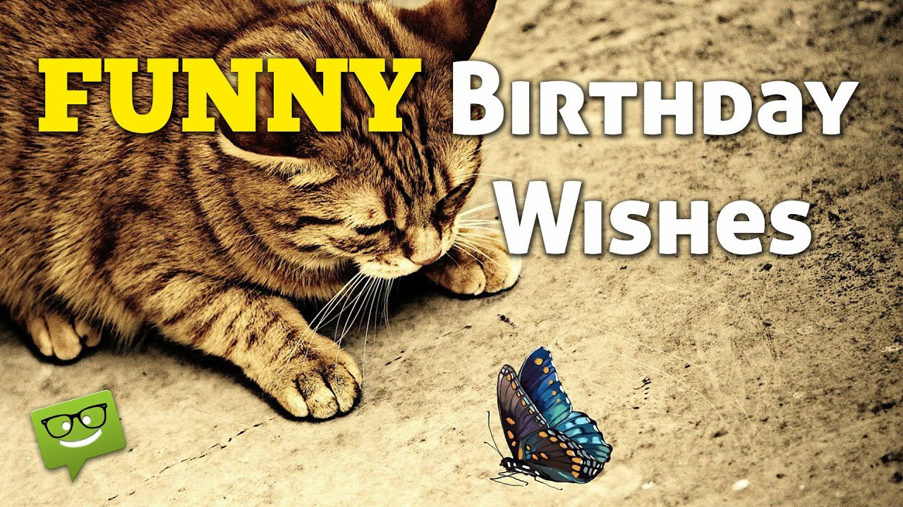 Funny Birthday Wishes Messages
 Funny Birthday Wishes