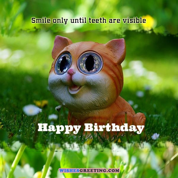 Funny Birthday Wishes Messages
 105 Funny Birthday Wishes and Messages