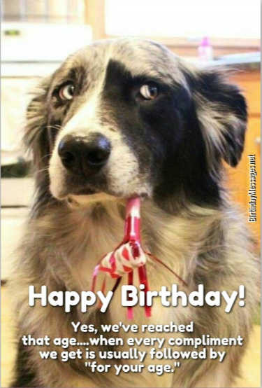 Funny Birthday Wishes Messages
 Funny Birthday Wishes & Birthday Quotes Funny Birthday