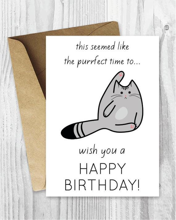 Funny Cards For Birthday
 Funny Birthday Cards Printable Birthday Cards Funny Cat