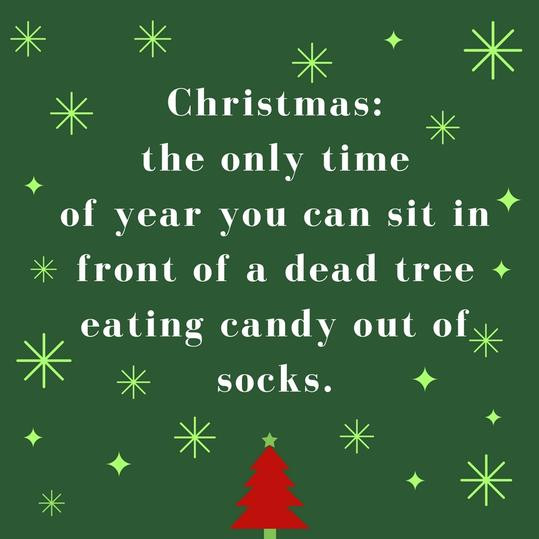 Funny Christmas Tree Quotes
 Funny Christmas Quotes Worth Repeating Southern Living