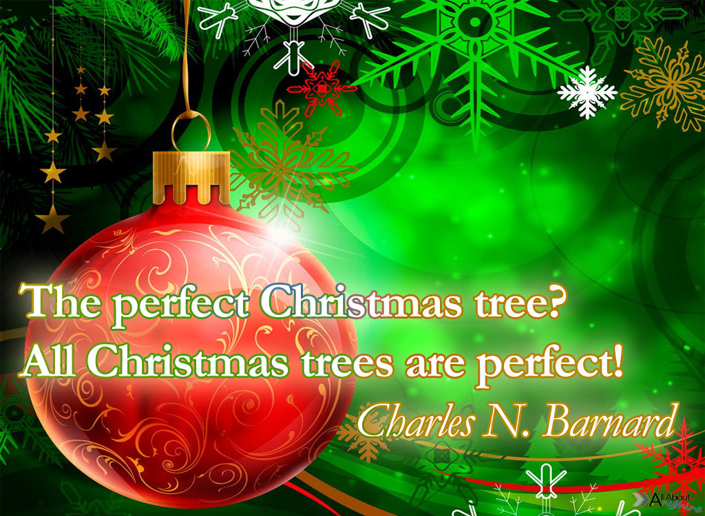 Funny Christmas Tree Quotes
 Quotes About Christmas Trees QuotesGram