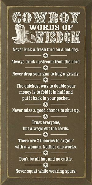 Funny Country Quotes
 Best 25 Cowboy sayings ideas on Pinterest