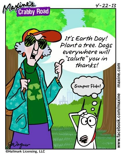 Funny Earth Day Quotes
 230 best Maxine images on Pinterest