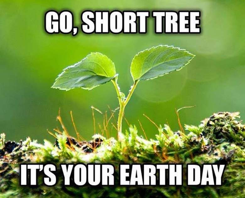 Funny Earth Day Quotes
 Earth Day 2015 All the Memes You Need to See