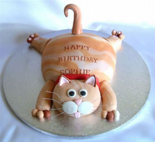 Funny Happy Birthday Cakes
 Cat Cakes