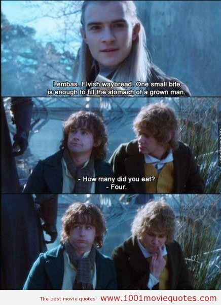 Funny Lord Of The Rings Quotes
 Lotr Movie Quotes QuotesGram