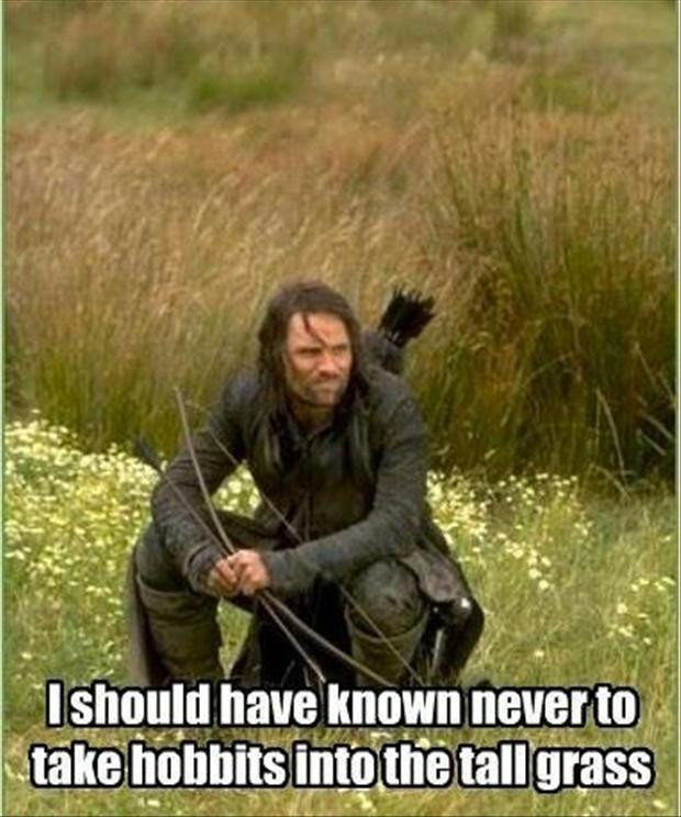Funny Lord Of The Rings Quotes
 Funny 55 Pics