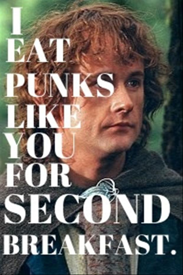 Funny Lord Of The Rings Quotes
 Funny Lotr Quotes QuotesGram